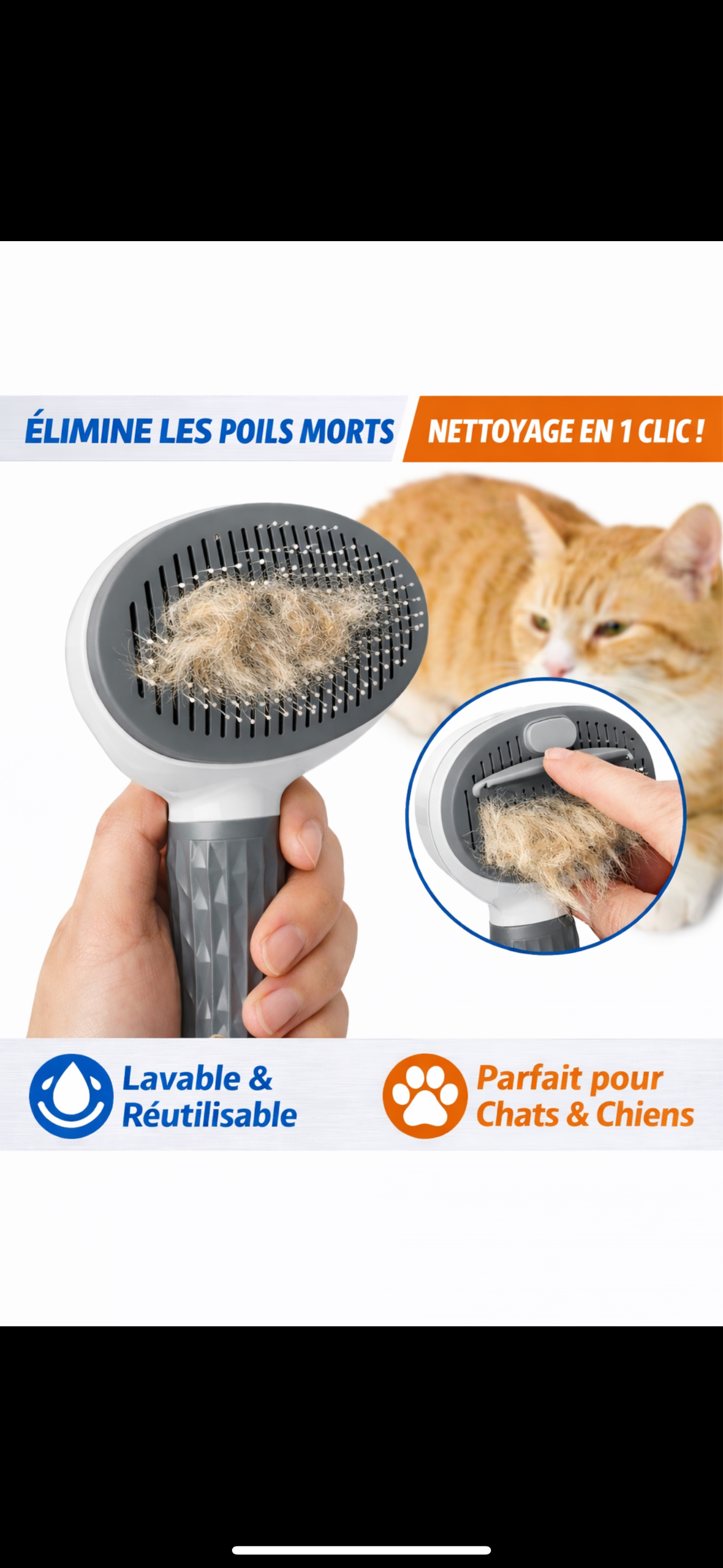 Peigne de Toilettage Haute Précision