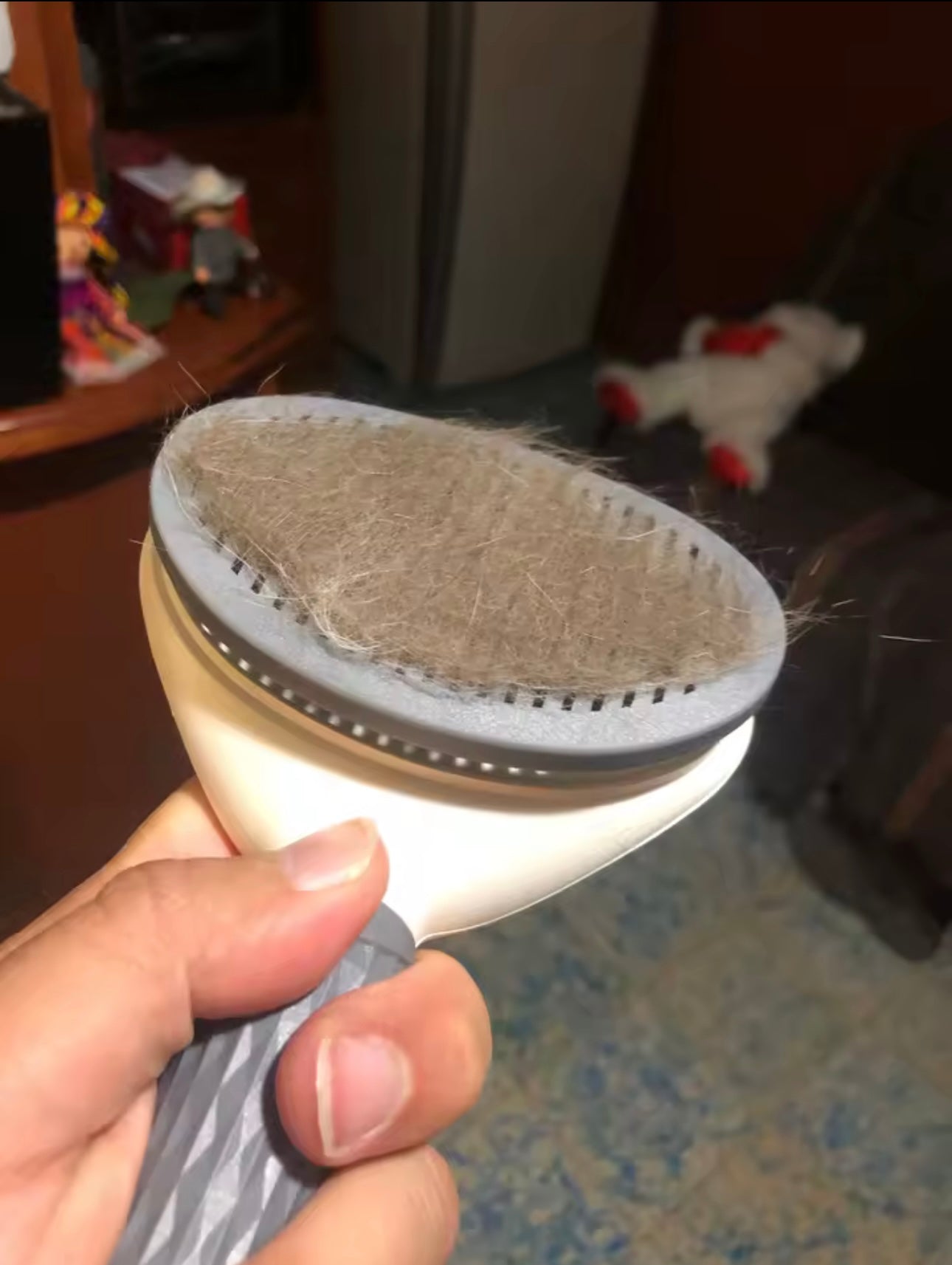 Peigne de Toilettage Haute Précision